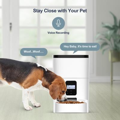 Show full view: Bueteka Automatic Dog & Cat Feeder, White, Medium slide 6 of 10