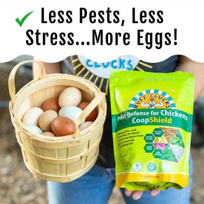 Show full view: Buff Clucks CoopShield Chicken Pest Control Powder, 12-oz bag slide 6 of 10