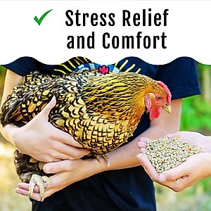 Buff Clucks Herb Chicken Supplement, 12-oz bag