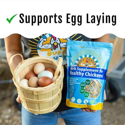 Show full view: Buff Clucks Herb Chicken Supplement, 12-oz bag slide 4 of 11