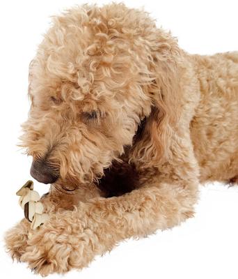 Show full view: Buffalo Range All Natural Grain-Free Jerky Braid Rawhide Dog Treats, 20 count slide 9 of 10