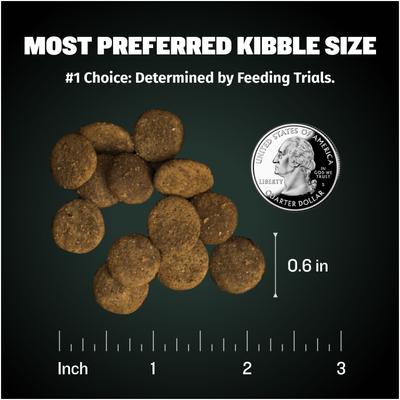 Show full view: Bully Max 24/14 High-Protein & Growth Lamb Dry Puppy Food, 5-lb bag slide 9 of 12