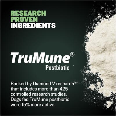 Show full view: Bully Max 24/14 High-Protein & Growth Lamb Dry Puppy Food, 5-lb bag slide 6 of 12