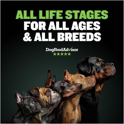 Show full view: Bully Max 25/11 High Protein Low Fat Lamb Dry Dog Food, 5-lb bag slide 6 of 11