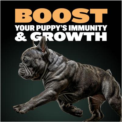 Show full view: Bully Max 26/12 High-Protein Chicken Wet Puppy Food, 2-lb bag slide 5 of 12