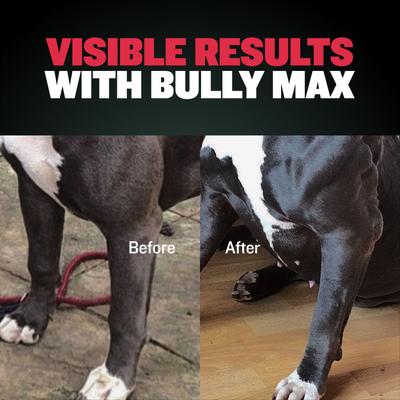 Show full view: Bully Max 2-in-1 Muscle Gain Power Tabs Supplement for Dogs, 6.3-oz bottle slide 7 of 12