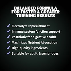 Bully Max 2-in-1 Post Workout Recovery Support Beef Flavored Chew Supplement for Dogs, 10.6-oz bag slide 2 of 9