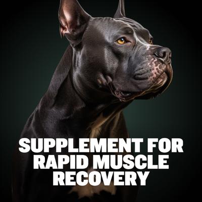 Show full view: Bully Max 2-in-1 Post Workout Recovery Support Beef Flavored Chew Supplement for Dogs, 10.6-oz bag slide 6 of 11