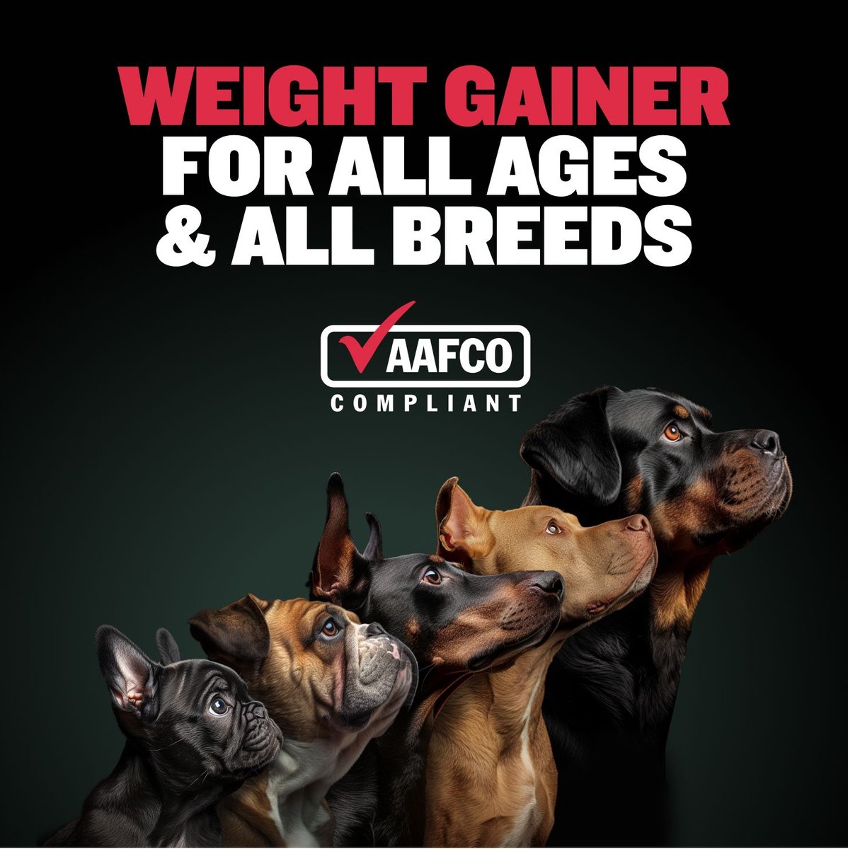 Weight Gain Bully Vitamins For Dogs Out Of Stock BULLY MAX 2-in-1