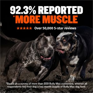Bully Max 30/20 Adult High-Protein & Fat Chicken Dry Dog Food, 40-lb bag