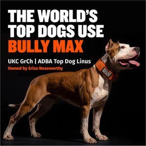 Bully Max 30/20 Adult High-Protein & Fat Chicken Dry Dog Food, 40-lb bag