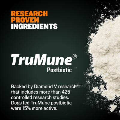 Show full view: Bully Max 30/20 Adult High-Protein & Fat Chicken Dry Dog Food, 15-lb bag slide 5 of 12