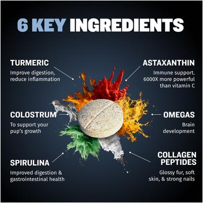 Show full view: Bully Max Immune Support Tablet Supplement for Small Dogs, 30 count slide 5 of 11