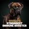 Show in main carousel: Bully Max Power Chews for Muscle Gain 11-in-1 Pro Supplement for Dogs 10.6-oz pouch slide 3 of 11