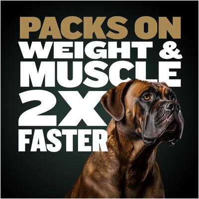 Show full view: Bully Max Pro 2X High Calorie Chicken Dry Dog Food, 4-lb bag slide 4 of 12