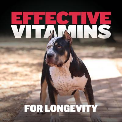 Show full view: Bully Max Vitality Chews for Immunity & Health 9-in-1 Supplement for Dogs, 10.6-oz pouch slide 6 of 11