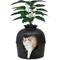 Show in main carousel: Bundle & Bliss Secret Litter Box Hidden Cat Litter Box Plant, Matt Black slide 1 of 13