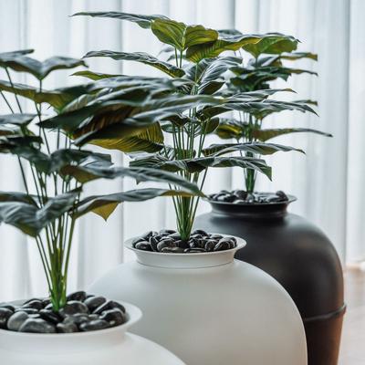 Show full view: Bundle & Bliss Secret Litter Box Hidden Cat Litter Box Plant, Matt Black slide 10 of 13