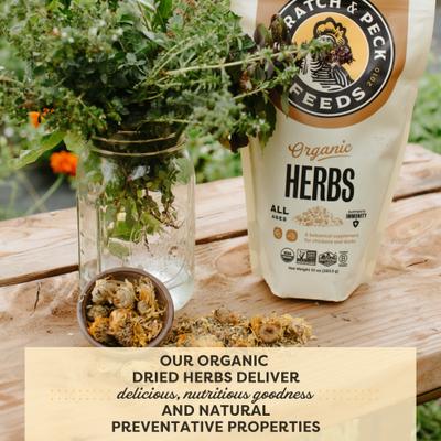 Show full view: Bundle: Scratch and Peck Feeds Chicken & Duck Essential Supplement Organic Herbs, 10-oz pouch, bundle of 2 slide 5 of 8