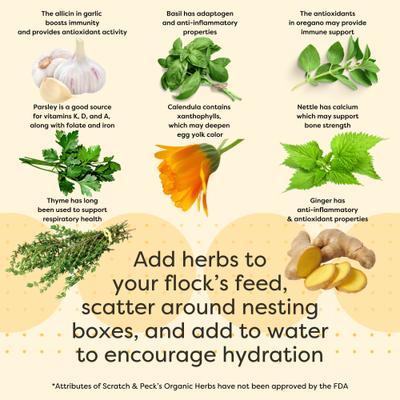 Show full view: Bundle: Scratch and Peck Feeds Chicken & Duck Essential Supplement Organic Herbs, 10-oz pouch, bundle of 2 slide 6 of 8