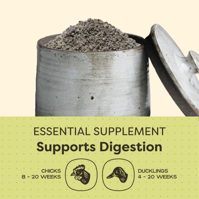 Show full view: Bundle: Scratch and Peck Feeds Chicken & Duck Grower Organic Grower Mash, 25-lb bag + Organic Herbs, 10-oz pouch + Grower Grit, 7-lb pouch slide 5 of 9