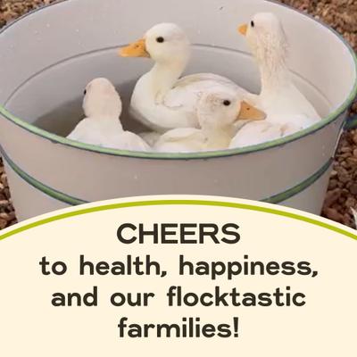 Show full view: Bundle: Scratch and Peck Feeds Chicken & Duck Grower Organic Grower Mash, 25-lb bag + Organic Herbs, 10-oz pouch + Grower Grit, 7-lb pouch slide 7 of 9