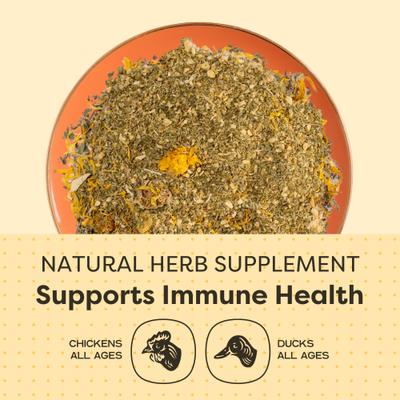 Show full view: Bundle: Scratch and Peck Feeds Chicken & Duck Starter Organic Starter Mash, 25-lb bag + Organic Herbs, 10-oz pouch + Starter Grit, 7-lb pouch slide 4 of 9