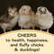 Show in main carousel: Bundle: Scratch and Peck Feeds Chicken & Duck Starter Organic Starter Mash, 25-lb bag + Organic Herbs, 10-oz pouch + Starter Grit, 7-lb pouch slide 7 of 9