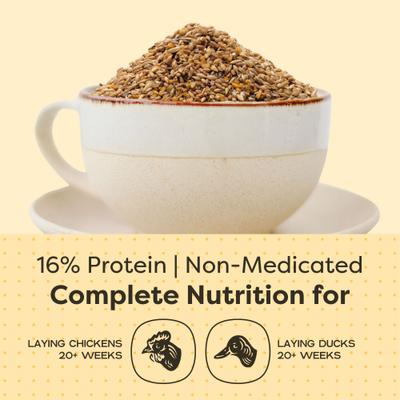 Show full view: Bundle: Scratch and Peck Feeds Organic Chicken & Duck Feed 16% Layer Mash, 25-lb bag + Layer Grit, 7-lb pouch slide 3 of 9