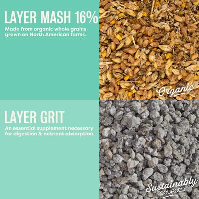 Show full view: Bundle: Scratch and Peck Feeds Organic Chicken & Duck Feed 16% Layer Mash, 25-lb bag + Layer Grit, 7-lb pouch slide 5 of 9