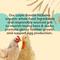 Show in main carousel: Bundle: Scratch and Peck Feeds Organic Chicken & Duck Feed 16% Layer Mash, 25-lb bag + Layer Grit, 7-lb pouch slide 6 of 9