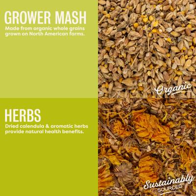 Show full view: Bundle: Scratch and Peck Feeds Organic Chicken & Duck Feed 17% Grower Mash, 25-lb bag + Organic Herbs, 10-oz pouch slide 5 of 9