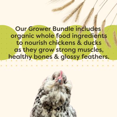 Show full view: Bundle: Scratch and Peck Feeds Organic Chicken & Duck Feed 17% Grower Mash, 25-lb bag + Organic Herbs, 10-oz pouch slide 6 of 9