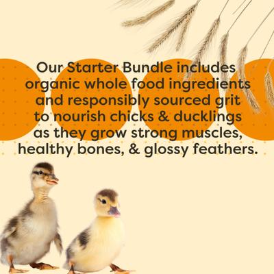 Show full view: Bundle: Scratch and Peck Feeds Organic Chicken & Duck Feed 20.5% Starter Mash, 25-lb bag + Starter Grit, 7-lb pouch slide 6 of 9