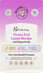Bundle x Joy Brave Lamb Recipe Dry Dog Food, 4-lb bag
