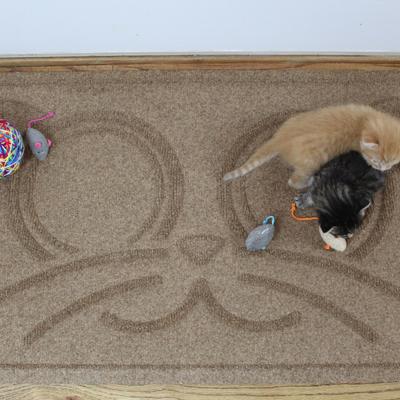 Show full view: Bungalow Flooring WaterHog Kitty Face Cat Placemat, 20x30-in, Camel slide 3 of 6