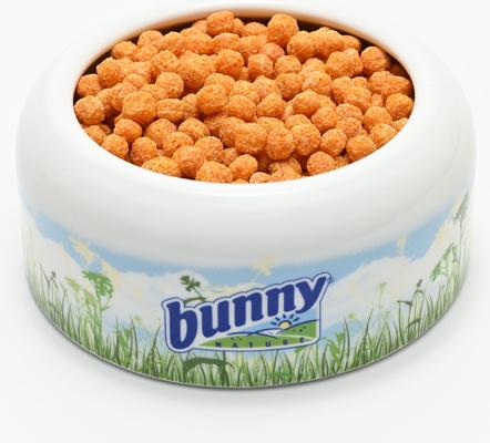 Show full view: Bunny Nature Crispy Snack Carrots Rabbit & Hamster Treats, 0.9-oz tub slide 4 of 6