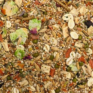 Bunny Nature DwarfHamsterDream Expert Dwarf Hamster Food, 1.1-lb bag