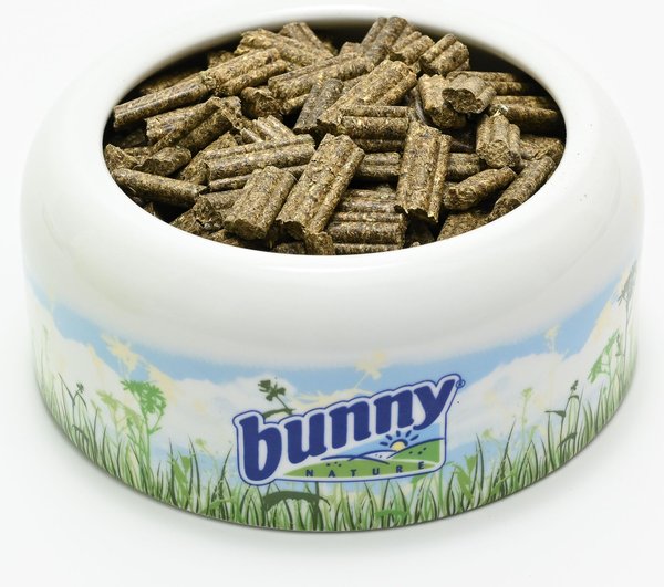 Bunny Nature RabbitDream Oral Rabbit Food, 3.3-lb bag