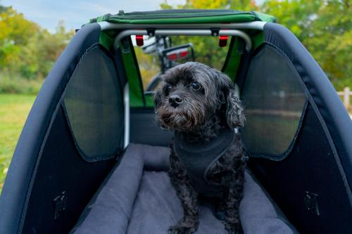 Show full view: Burley Bolster Cat & Dog Bed with Removable Cover, Gray/Black, Standard slide 3 of 3