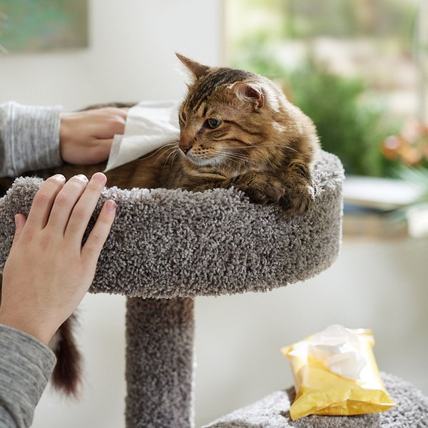 Show full view: Burt's Bees Dander Reducing Wipes with Colloidal Oat Flour & Aloe Vera for Cats, 50 count slide 5 of 8
