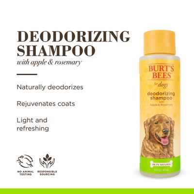 Show full view: Burt's Bees Deodorizing Shampoo with Apple & Rosemary for Dogs, 16-fl oz bottle slide 3 of 11