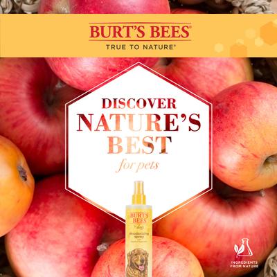 Show full view: Burt's Bees Deodorizing Spray with Apple & Rosemary for Dogs, 10-fl oz bottle slide 4 of 12