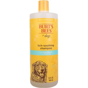 Burt's Bees Itch Soothing Honeysuckle Shampoo, 32-fl oz bottle