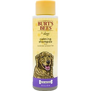 Burt's Bees Lavender & Green Tea Calming Dog Shampoo, 16-fl oz bottle