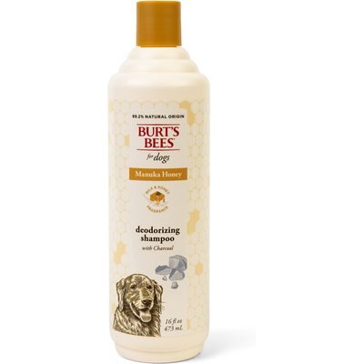 Burt's Bees Burt's Bees Manuka Honey Deodorizing Charcoal Dog Shampoo, 16-fl oz bottle