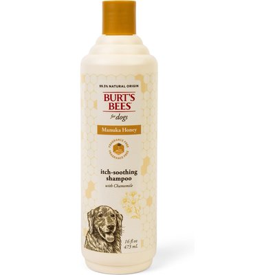 Burt's Bees Burt's Bees Manuka Honey Itch Soothing Chamomile Dog Shampoo, 16-fl oz bottle