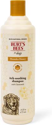 itch soothing shampoo burt's bees oatmeal dog shampoo