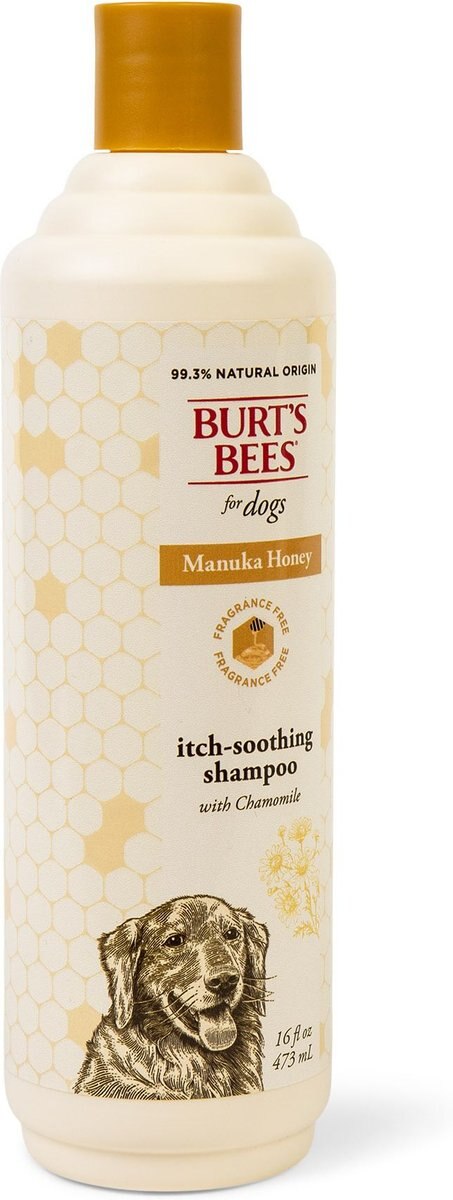 EcoBath Manuka Honey Dog Shampoo, 13.5-fl oz bottle
