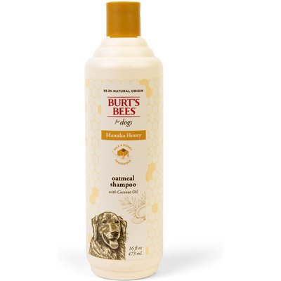 Burt's Bees Burt's Bees Manuka Honey Oatmeal Coconut Oil Dog Shampoo 16-fl oz bottle